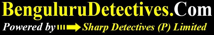 bengaluru detectives logo